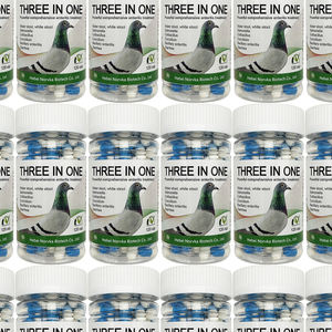 Kapsul Perlindungan Usus Probiotik Racing Pigeon Three In One - Product Image 2