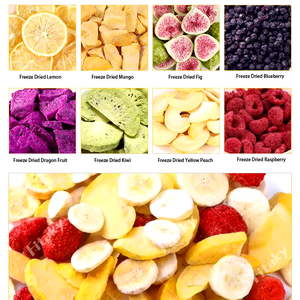 Fabricant de fruits du dragon lyophilisés, <span class=keywords><strong>prix</strong></span> compétitif pour fruits du dragon lyophilisés, tranches de <span class=keywords><strong>pitaya</strong></span> lyophilisées - Product Image 3