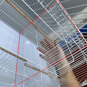 <span class=keywords><strong>Cage</strong></span> en gros pour <span class=keywords><strong>oiseaux</strong></span>, <span class=keywords><strong>cage</strong></span> de groupe <span class=keywords><strong>avec</strong></span> design de cloison, cages à <span class=keywords><strong>oiseaux</strong></span> <span class=keywords><strong>avec</strong></span> séparateurs, nichoir pour perroquet - Product Image 5