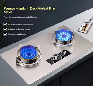 Estufa de <span class=keywords><strong>Gas</strong></span> de Alta Calidad con <span class=keywords><strong>2</strong></span> Quemadores, Estufa de <span class=keywords><strong>Gas</strong></span> Comercial de Acero Inoxidable, Quemador de Hierro Fundido para Cocina Doméstica - Product Image 3