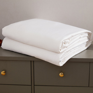Qin Yue All Cotton Mulberry Silk <b>Quilt</b> 2.1-3 Jin Breathable Spring Autumn <b>Winter</b> <b>Quilt</b> Core Gift Custom Wholesale - Product Image 1