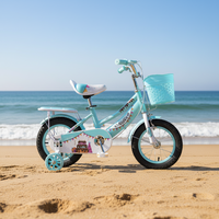 Vélo Enfant 2026 : Vente en Gros, Livraison Rapide, Prix Abordable, avec Protection de Chaîne Intégrale – Petits Vélos pour Enfants (Bici Infantil)