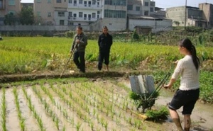 2-Hàng Có Thể Điều Chỉnh Khoảng Cách Hướng Dẫn Sử Dụng Tay Quay Quay Quay Lúa Cây Trồng Cây Máy Cho Lúa Lĩnh Vực Bước Xuống Cấy - Product Image 3