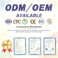 Échantillon Gratuit Peluche Personnalisée OEM ODM Vente en Gros Personnalisation sur Mesure Personnage Personnalisé Lion Animal en Peluche Mascotte Poupée