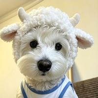Chapeau pour chien en peluche mignon en forme de petite brebis avec cornes bouclées, accessoire photo pour petit chien, coiffe décorative amusante