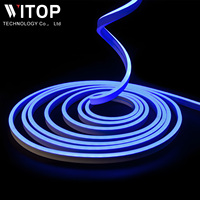 Ensemble de bandes néon 0613 rvb couleur fabricant IP67 étanche dynamique changement de couleur LED bande lumineuse