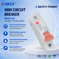 Disjoncteur bipolaire miniature BKN MCB Interrupteurs 2P 16A 20A 32A