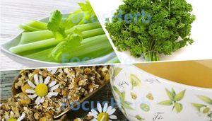 เฮลทีไลฟ์ สารสกัดจากดอกคาโมมายล์เกรดอาหาร 100% จากธรรมชาติ คุณภาพสูง 50% ผงอะพิเจนินแบบลิโปโซม - Product Image 2