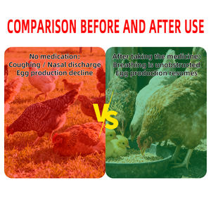 <span class=keywords><strong>Hu</strong></span> Du Qing飼料添加物は肺の健康を改善し、炎症は回復をサポートし、活力を高める - Product Image 6