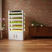 Machine à légumes intelligente et écologique ELITE M2 220W, 152 plantes, irrigation par flux et reflux NFT, acier au carbone, pour la maison et l'intérieur