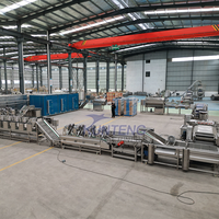 Volledig automatische productielijn voor diepvriesfrieten, industriële fritesverwerkingsinstallatie, turnkey food grade apparatuur