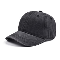 Kinderen Baseball Pet met Aangepaste Logo Borduring Gewassen Katoen 6-Panel Vintage Blank Dad Hat Kinderen Peuter Verstelbare Sport Zonnepet