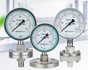 ตัววัดความดันไดอะแฟรมแบบหน้าแปลนเกจวัดความดันแบบบรรจุน้ำมัน - Product Image 1
