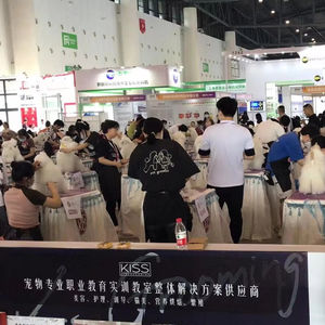 Maniquí de <span class=keywords><strong>caniche</strong></span> de perro de plástico de cuerpo completo <span class=keywords><strong>para</strong></span> exhibición escolar de mascotas y práctica de aseo juguete educativo modelo de perro - Product Image 5