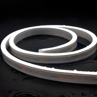 Lampu Neon LED Fleksibel Silikon Murni Kelas Proteksi IP67 0816, Laris Manis, Cocok untuk Berbagai Papan Nama dan Proyek Luar Ruangan