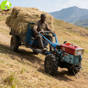 <span class=keywords><strong>Remorque</strong></span> de tracteur à pied de 12 HP de haute qualité, nouvelle condition pour ramasser des marchandises - Product Image 1