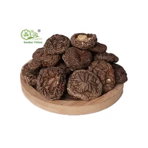 Großhandel Verlust Großhandel hochwertiger Shiitake-Pilz getrockneter Xianggu-Pilz chinesischer Shiitake-Pilz