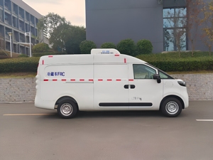 Fourgonnette Réfrigérée Électrique SAIC Maxus Pure Electric Mini 51 kWh Automatique EV -20°C ℃   Véhicule de livraison de produits de la mer et de viande congelée - Product Image 5