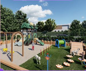 Reutilizable fácil de instalar moderno respetuoso con el medio ambiente HDPE Acero inoxidable perro agilidad entrenamiento obstáculo Equipo conjunto 120x120x120cm mascota - Product Image 4