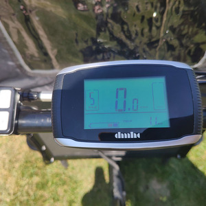 Nouveau design, tricycle électrique 250W 36V à 3 roues, vélo familial multifonctionnel pour livraison SX-ECG40016, nouveau design 25 - Product Image 6