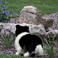 Peluche personnalisée Border Collie - Jouet réaliste en coton PP noir à poils longs, rembourré en polyester, 15 pouces