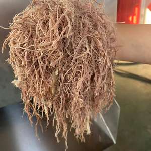 Trituradora industrial para aves de corral, oveja, ganado, vaca, cerdo, pollo, pato, carne, animales, huesos, trituradora, trituradora - Product Image 6