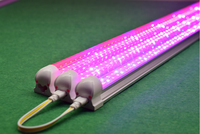Tubes de culture à LED 2ft 3ft 4ft Commercial Planting Bar Tube à LED pour la culture des fruits en fleurs