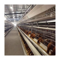 Dimension de type H pour cage de poulet 100000 cages de batterie de cage de poulet pliables pour couche de poulet de volaille avec du fumier