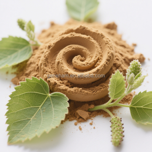 Toptan 1-DNJ 1% gıda sınıfı dut yaprağı ekstresi HACCP sertifikalı özel etiket ambalaj tozu formu bitki özü ürün - Product Image 4