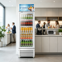 Vitrine réfrigérée blanche à deux portes avec refroidissement direct basé sur le sol et conception conforme aux normes pour la vente au détail commerciale