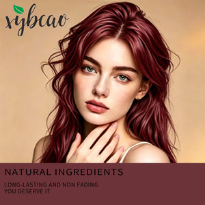 Tinte Permanente <span class=keywords><strong>para</strong></span> el Cabello Rojo Rosa en Crema 197g, Fórmula con Aceite de Argán, Brillo Intensificado, Reparación Capilar, Coloración Profesional <span class=keywords><strong>para</strong></span> el Cabello, Tratamiento de Coloración OEM/ODM - Product Image 4