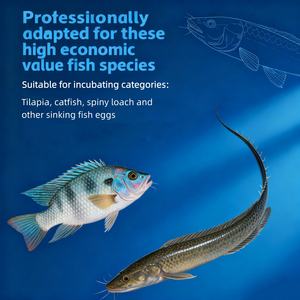 ティラピア & ナマズ養殖魚卵インキュベーター (インキュベーション/ろ過/滅菌/サーモスタット) - Product Image 5