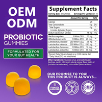 Gummies Probiotiques Véganes OEM pour la Santé Digestive Naturelle, la Santé Intestinale, le Soutien Immunitaire, Prébiotiques, Gummies pour Femmes, Complément de Bien-être