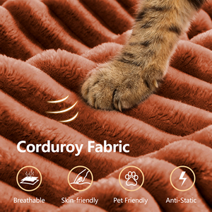 Free Shipping Convertible <b>Sofa</b> Bed Boneless Modular Couch Orange Fabric Memory Foam FloorLiving Room Compressed Couch in a Box - Product Image 5