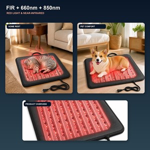Tapis de luminothérapie rouge ZT pour chiens et chats, thérapie infrarouge 660nm 850nm, équipement de physiothérapie pour animaux de compagnie - Product Image 4