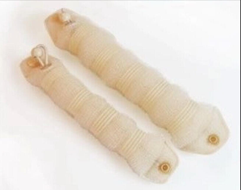 Un grand et un petit millet jaune