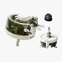Potenciómetro de Hilo Enrollado Ajustable RXNE BC1 con Disco de Porcelana, Resistencia Variable 1-1K, Tolerancia 10%, 50W 100W 300W, Directo de Fábrica
