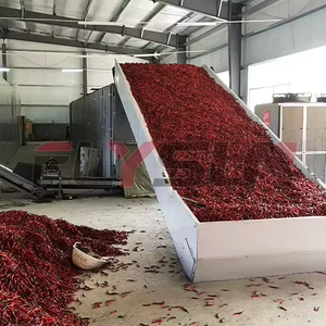 Supplier Industrial dryer equipment Chili Processing Line Chili washing machine Chili processing machine Mesh belt dryer machine - Product Image 2