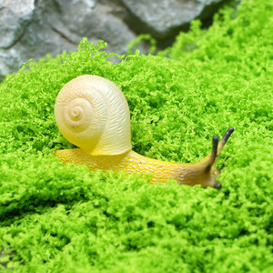 Figurines d'animaux en PVC à assembler de haute qualité pour la décoration de <span class=keywords><strong>micro</strong></span>-paysages, jardins et cours, modèles de reptiles et d'escargots - Product Image 4