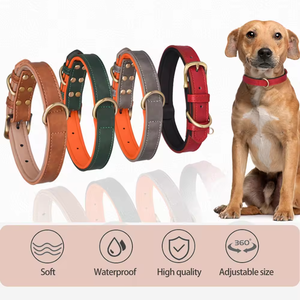 <span class=keywords><strong>Collar</strong></span> de Perro de Cuero Sólido Ajustable con Logotipo Personalizado, Cintas y Placa Metálica Grabada para Perros Pequeños a Grandes - Product Image 2