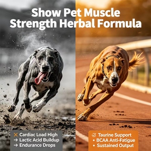Fórmula OEM para el Desarrollo Muscular Canino, Suplemento de BCAA, L-Carnitina y Condroitina para <span class=keywords><strong>Perros</strong></span> de Trabajo, Policía y Caza - Product Image 4