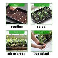 Bandeja Hidropónica Extra Resistente para Microgreens de Trigo, Bandeja para Cultivo de Plántulas 1020, Bandeja Hidropónica