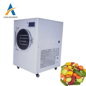 Precio <span class=keywords><strong>de</strong></span> Mini Liofilizador Industrial, Precio <span class=keywords><strong>de</strong></span> Máquina Secadora <span class=keywords><strong>de</strong></span> Gusanos <span class=keywords><strong>de</strong></span> la Harina, Pequeño Liofilizador al Vacío - Product Image 1