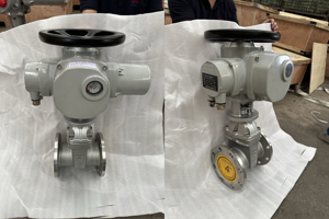 DKV Compuerta a Prueba de Explosiones de Hierro Fundido con Vástago Ascendente, Brida de Cuña, Accionamiento por Motor y Actuador Multivuelta - Product Image 6