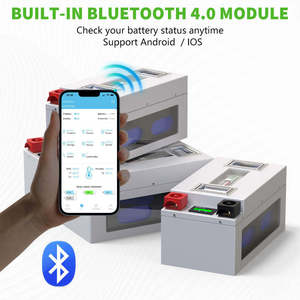 CERRNSS 5 yıl garanti seçeneği bluetooth <span class=keywords><strong>LED</strong></span> ısıtma derin döngüsü BMS ve aktif dengeleyici ile güneş pili LiFePO4 24V with - Product Image 5