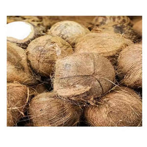 Máquina desgranadora de coco de suministro de fábrica de China Máquina peladora de coco completamente automática con precio barato - Product Image 5