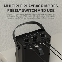 Mini haut-parleur karaoké 30w de haute qualité Haut-parleur Bluetooth portable à gamme complète de 4 pouces avec microphone