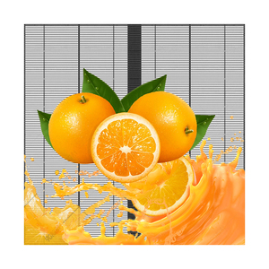 Màn hình LED ba chiều cho Telepresence & giao tiếp ảo - Product Image 1