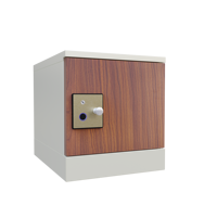 Boîte aux lettres intelligente boîte de livraison de colis casier en bois abs e sexy casiers de sport serrure intelligente rayonnage de boîte aux lettres distributeur automatique congelé