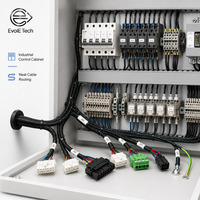 Arnés de Cableado Personalizado UL1007 22AWG 300V de Cobre, Anti-Interferencia, con Múltiples Conectores, para Control Industrial